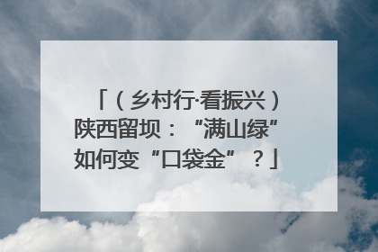 （乡村行·看振兴）陕西留坝：“满山绿”如何变“口袋金”？